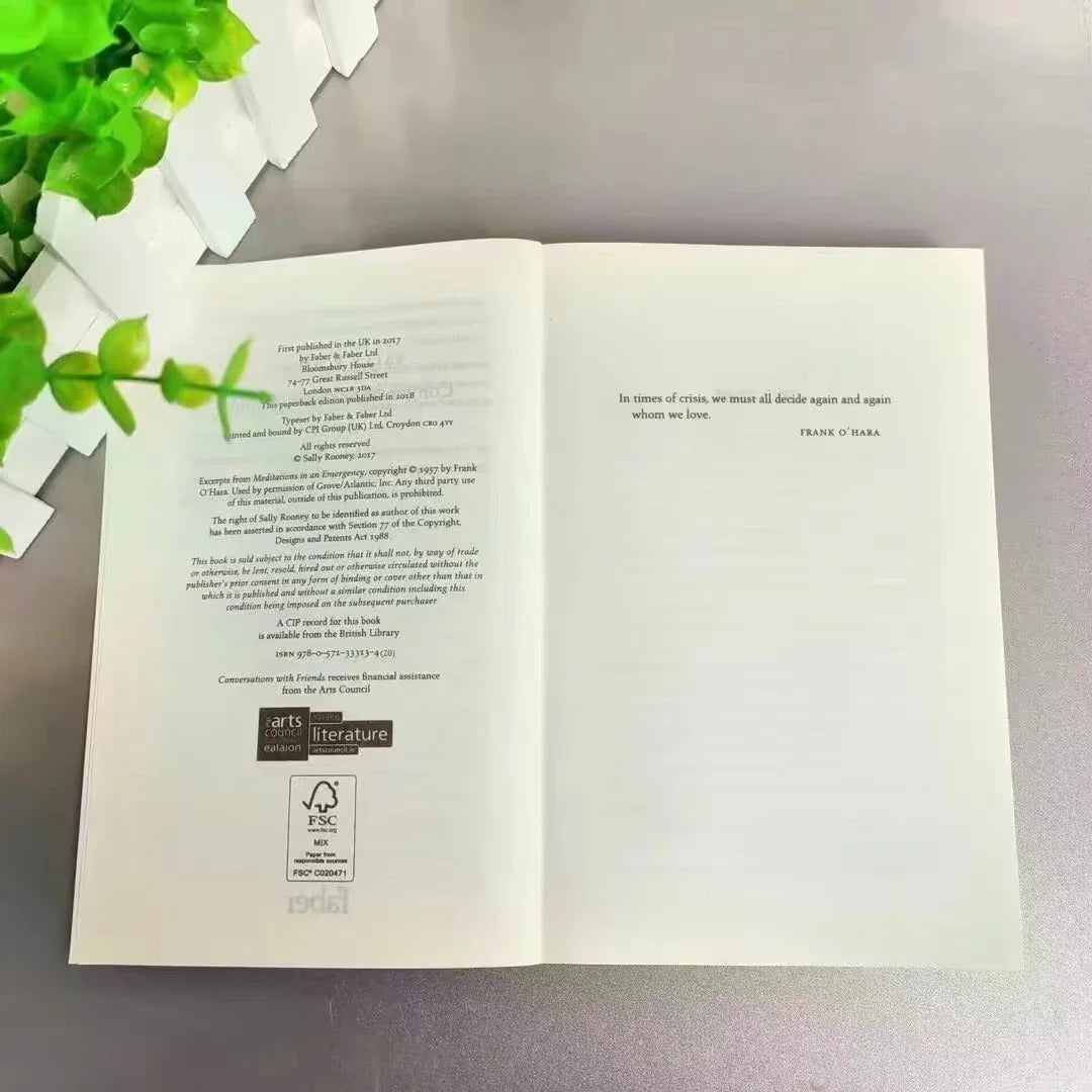 Sally Rooney Novel Series (Fiction Collection)