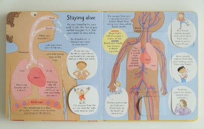Usborne Lift-the-Flap Encyclopedia For Curious Minds & Young Hearts
