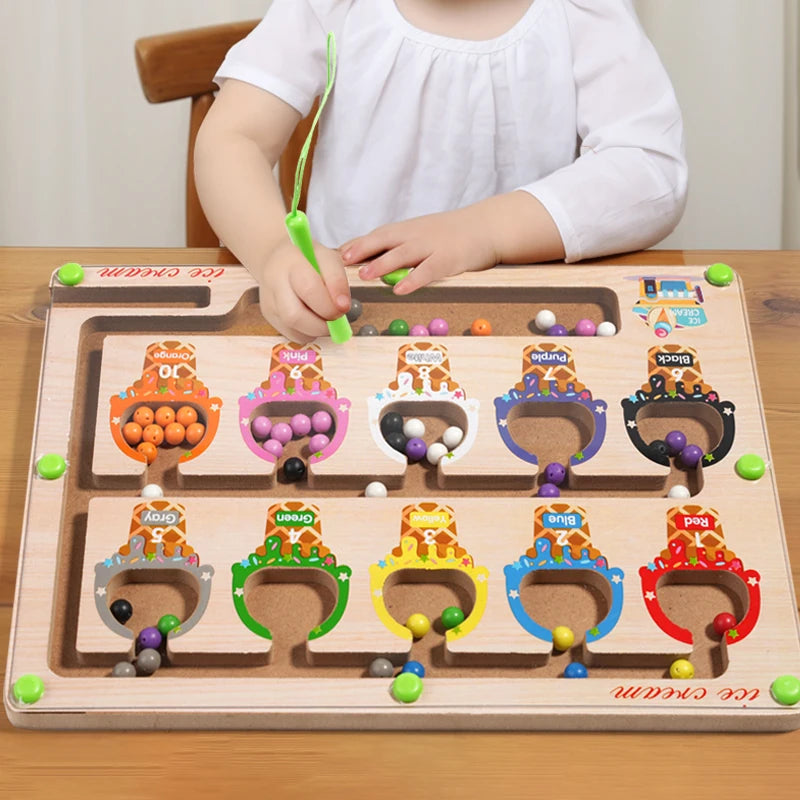 Montessori Magnetic Colour Sorting Maze