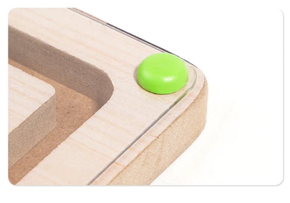 Montessori Magnetic Colour Sorting Maze