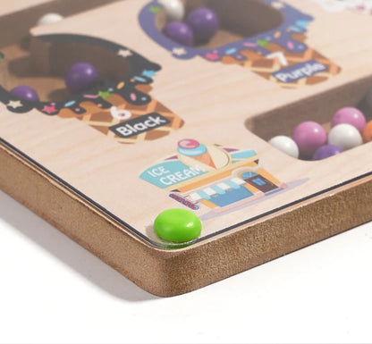 Montessori Magnetic Colour Sorting Maze