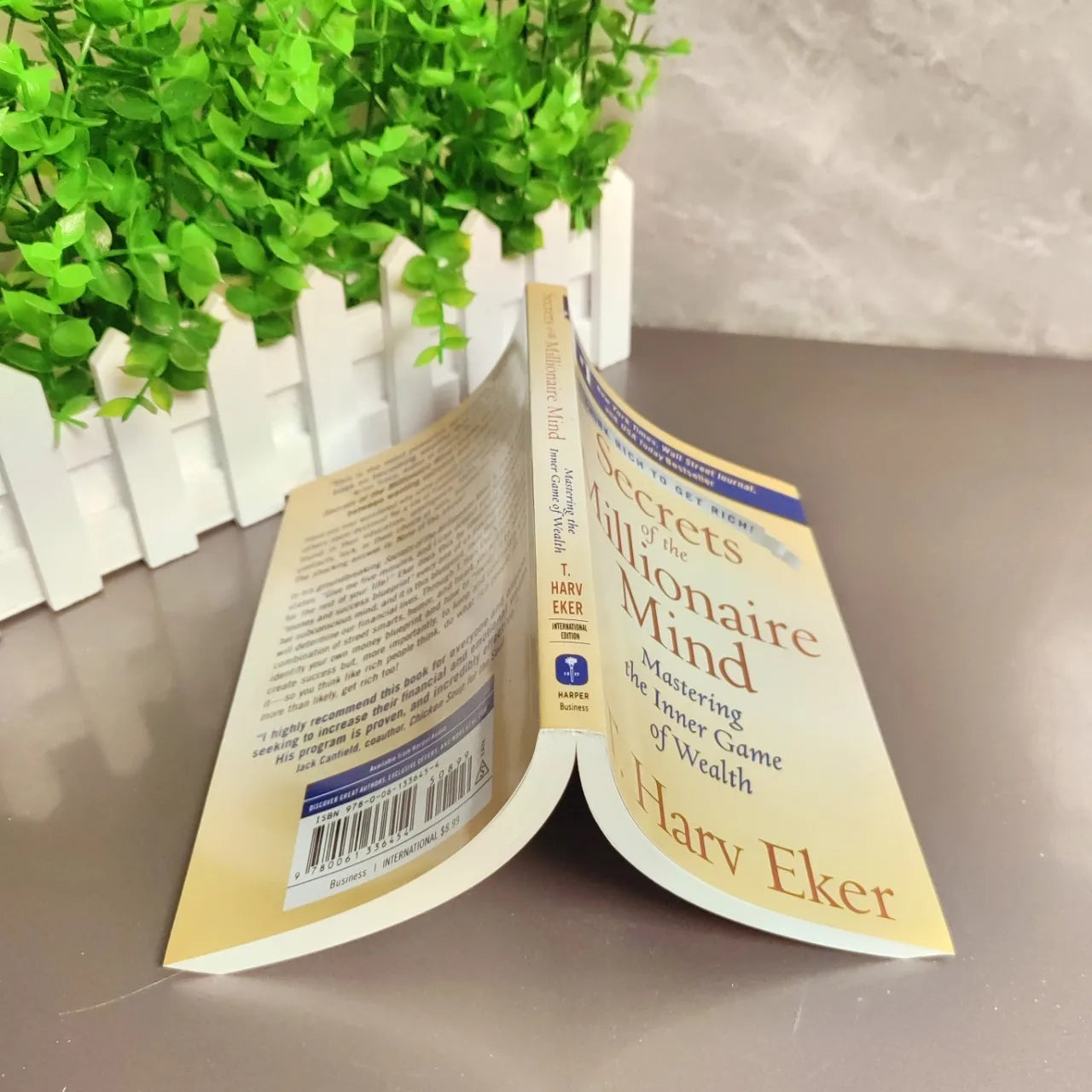 Secrets of the Millionaire Mind by T. Harv Eker (Paperback)