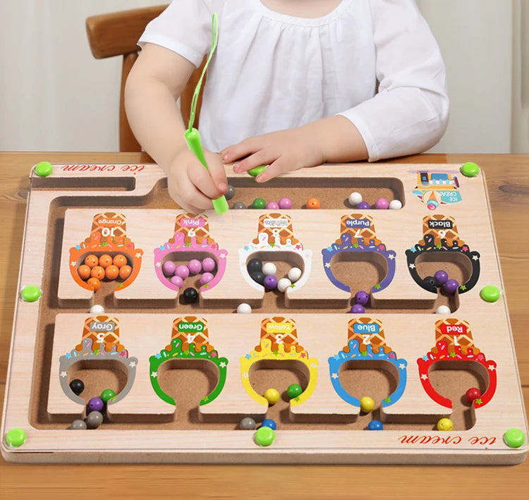 Montessori Magnetic Colour Sorting Maze