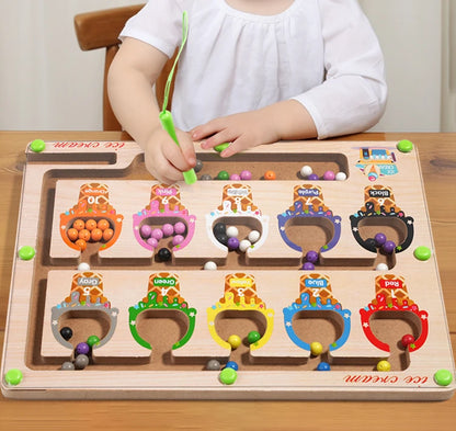 Montessori Magnetic Colour Sorting Maze