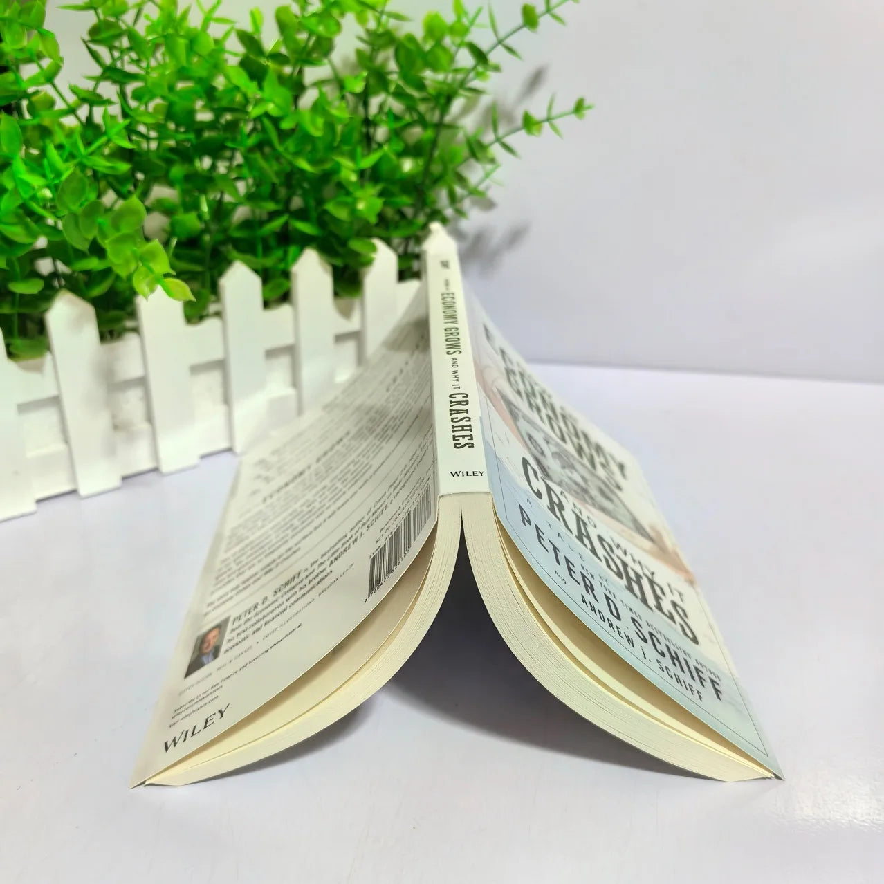 How an Economy Grows and Why It Crashes — Paperback by Peter D. Schiff & Andrew J. Schiff