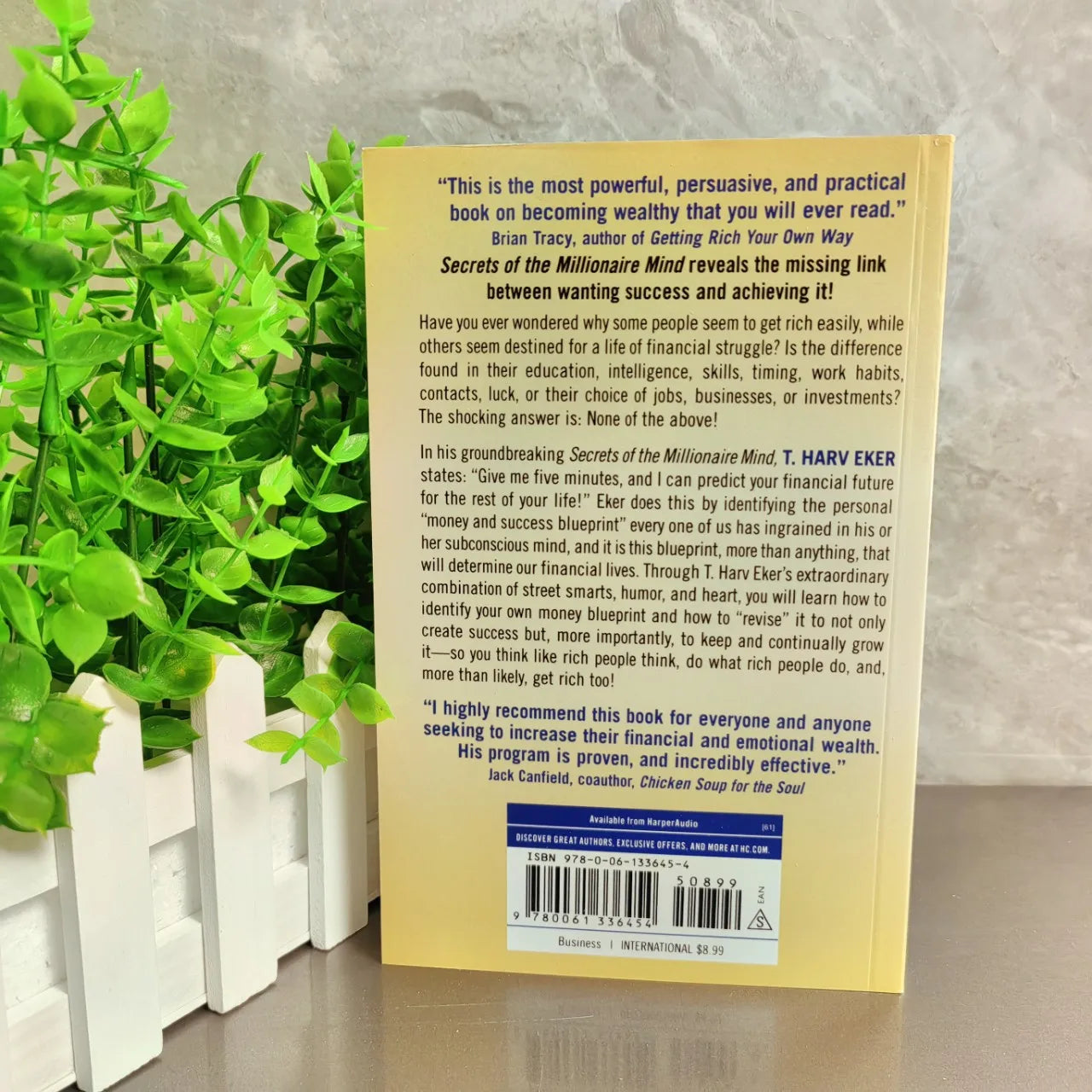 Secrets of the Millionaire Mind by T. Harv Eker (Paperback)