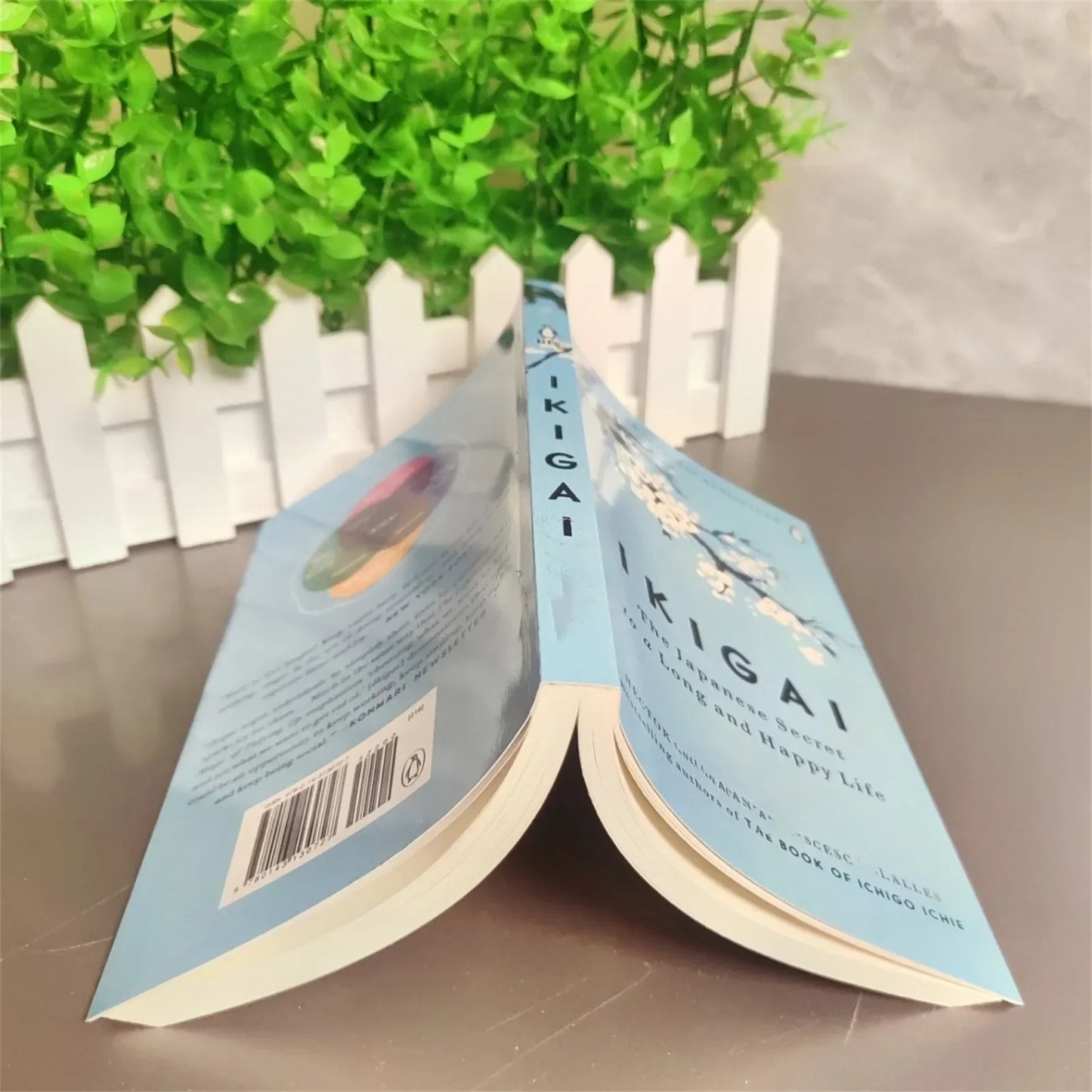 The Japanese Secret to a Long and Happy Life – Ikigai Book by Hector Garcia