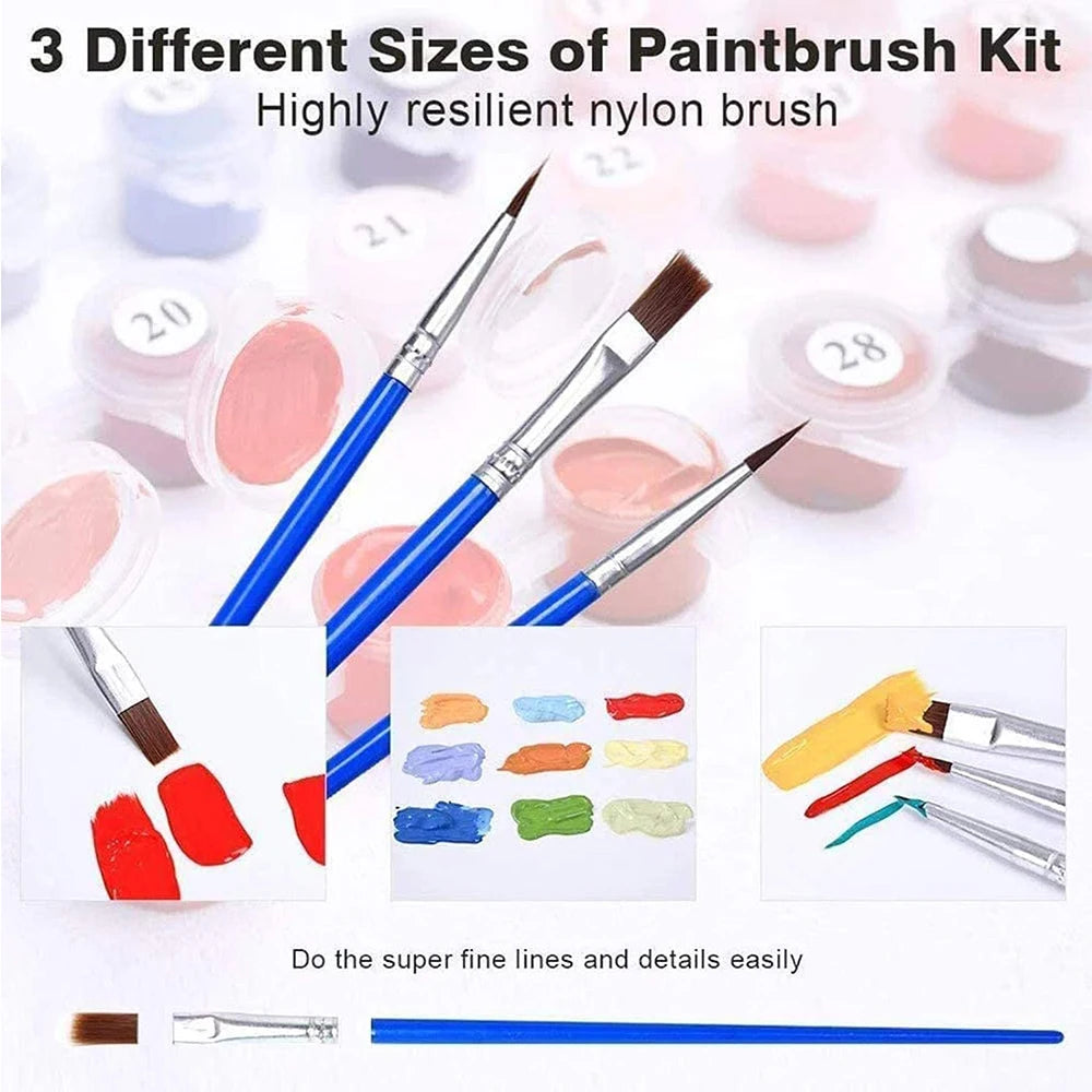 Frameless Paint‑by‑Numbers Canvas Kit — For Creatives Aged 12 to 112