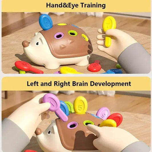 Hedgehog Montessori Sensory Toy