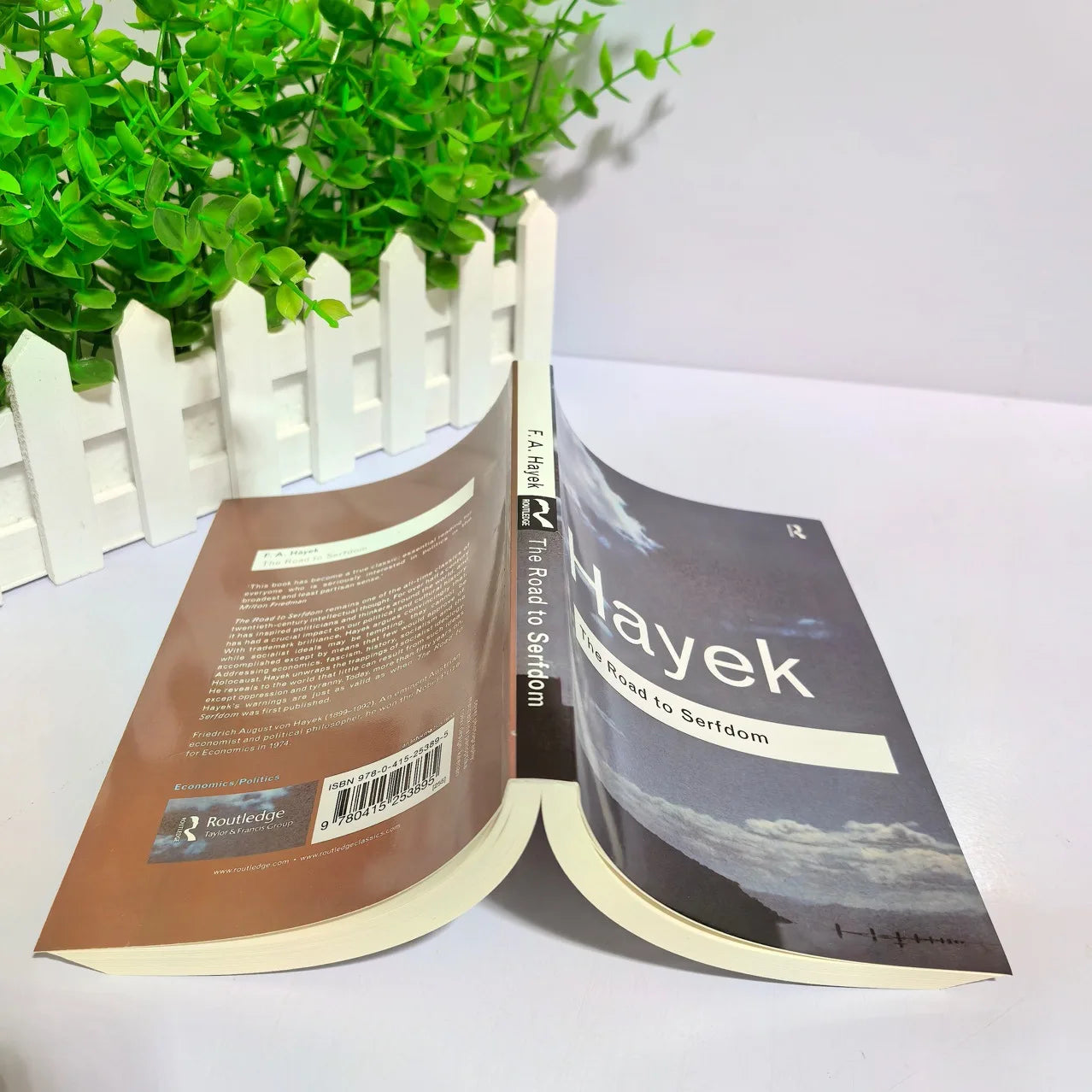 The Road to Serfdom by Friedrich Hayek Paperback Hardcover Classic