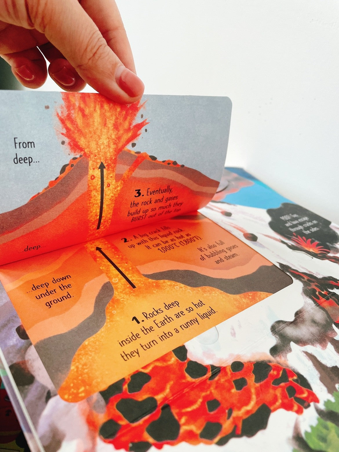Usborne Lift-the-Flap Encyclopedia For Curious Minds & Young Hearts