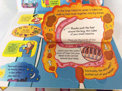 Usborne Lift-the-Flap Encyclopedia For Curious Minds & Young Hearts